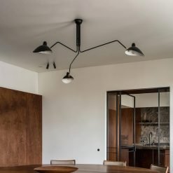 アート・デザイン・音楽 SERGE MOUILLE LUMINAIRES SergeMouilleCeilingLampLibrary