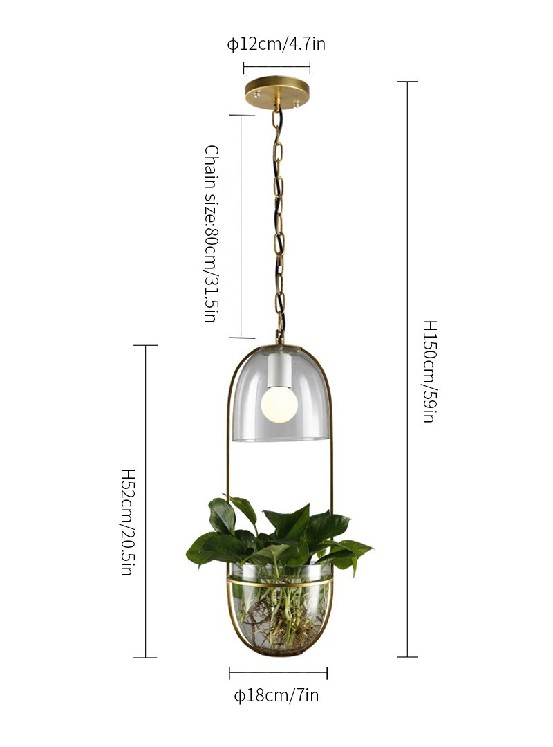 Water Plants Glass Pendant Light Pastoral ecological hanging lamp