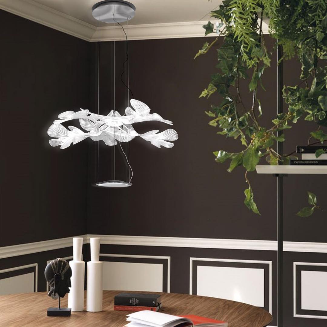 Chlorophilia suspension Light