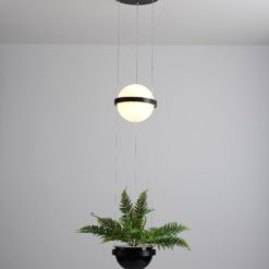 Palma suspension Lamp