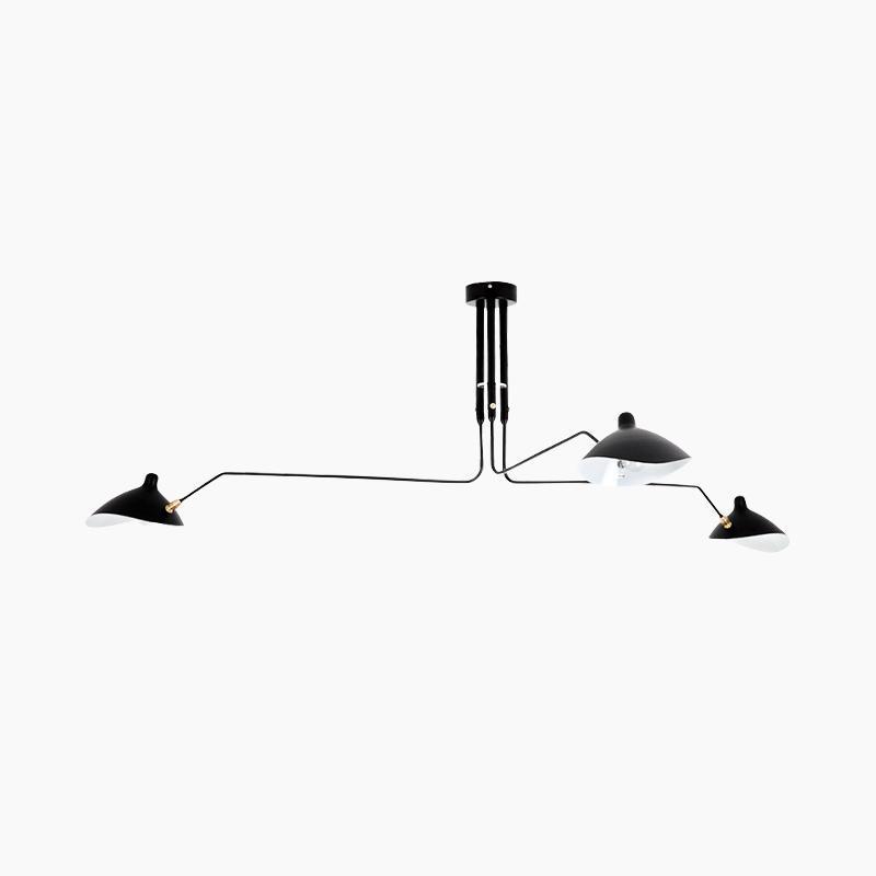 Ceiling lights